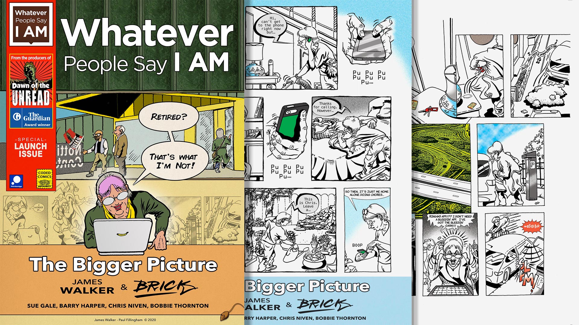 Retired? - The Bigger Picture comic cover